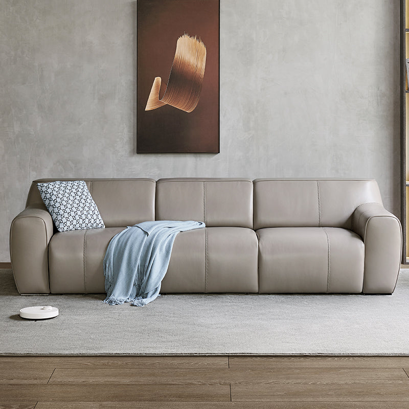 Genuine Leather Sofa Bed